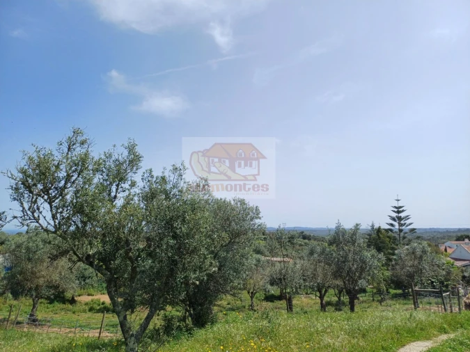Terreno Misto para Venda em Grândola e Santa Margarida da Serra Foto 7