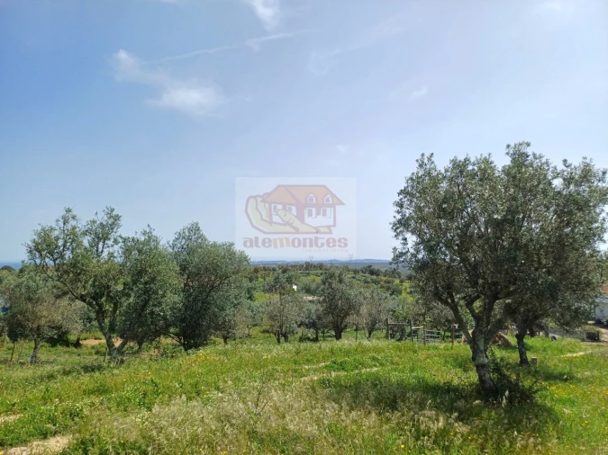 Terreno Misto para Venda em Grândola e Santa Margarida da Serra Foto 8