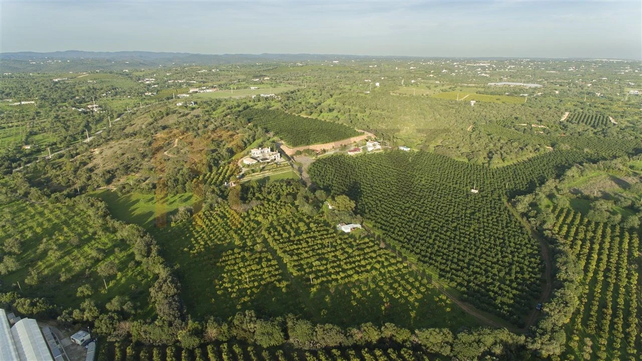 Quinta T7 para Venda em Luz de Tavira e Santo Estêvão Foto 71