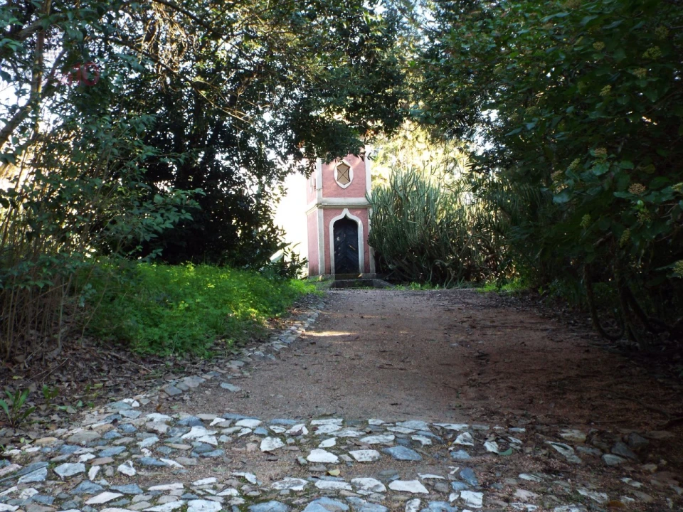 Moradia T8 para Venda em Assunção, Ajuda, Salvador e Santo Ildefonso Foto 79