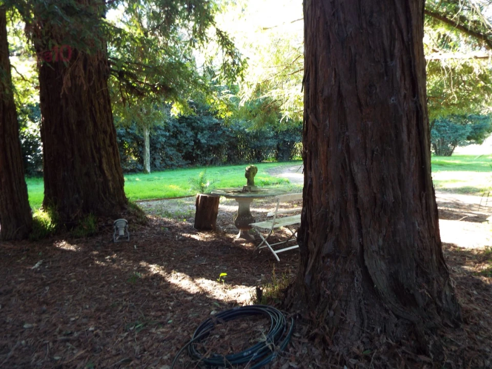 Moradia T8 para Venda em Assunção, Ajuda, Salvador e Santo Ildefonso Foto 54