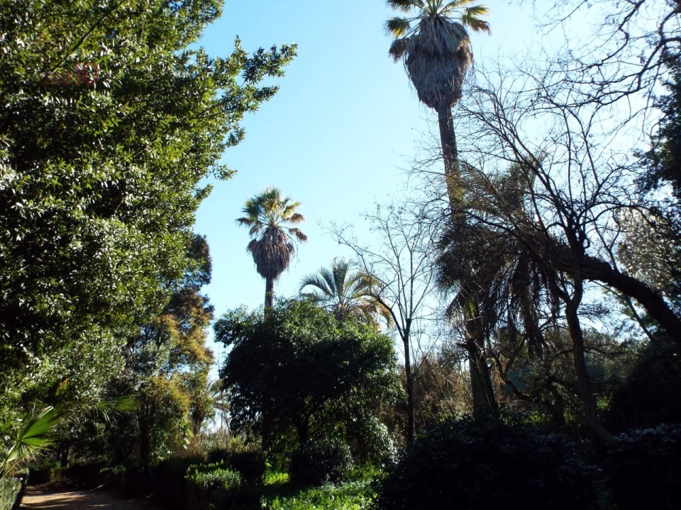 Moradia T8 para Venda em Assunção, Ajuda, Salvador e Santo Ildefonso Foto 61