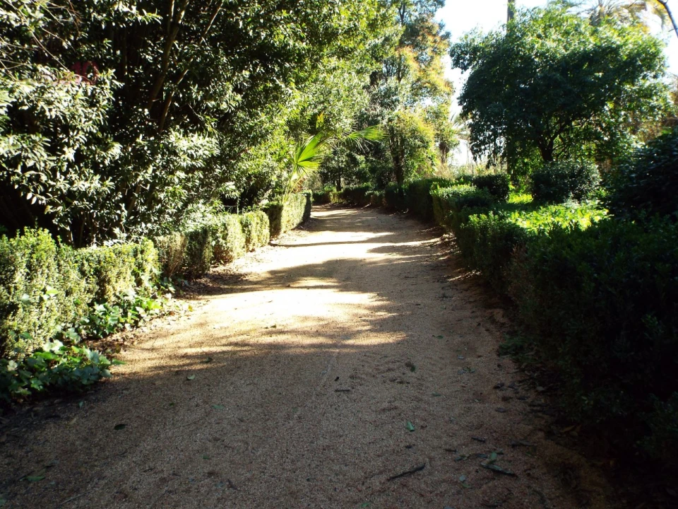 Moradia T8 para Venda em Assunção, Ajuda, Salvador e Santo Ildefonso Foto 63