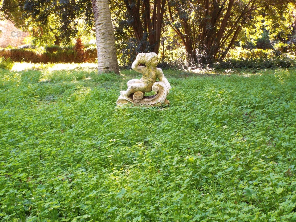 Moradia T8 para Venda em Assunção, Ajuda, Salvador e Santo Ildefonso Foto 68