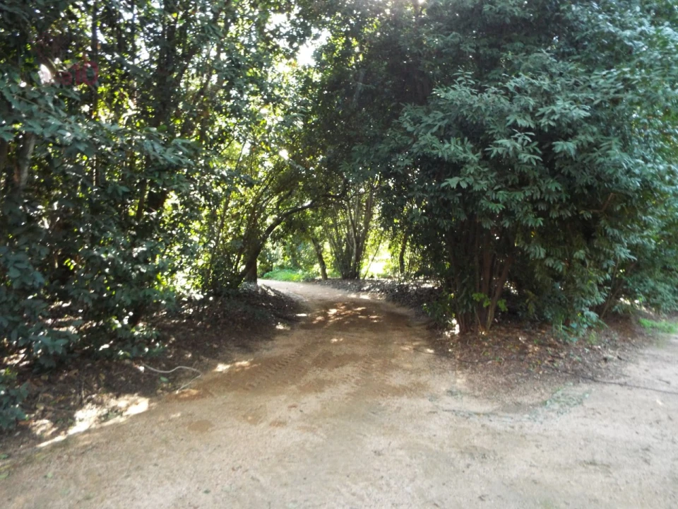 Moradia T8 para Venda em Assunção, Ajuda, Salvador e Santo Ildefonso Foto 70