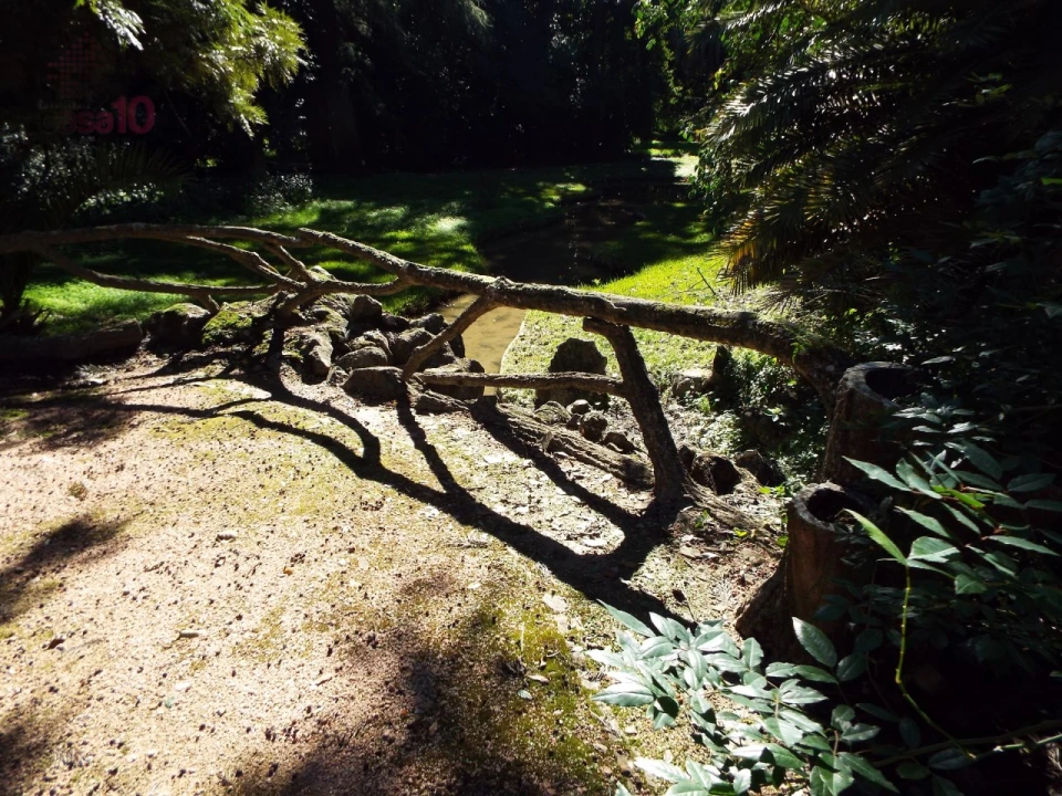 Moradia T8 para Venda em Assunção, Ajuda, Salvador e Santo Ildefonso Foto 75