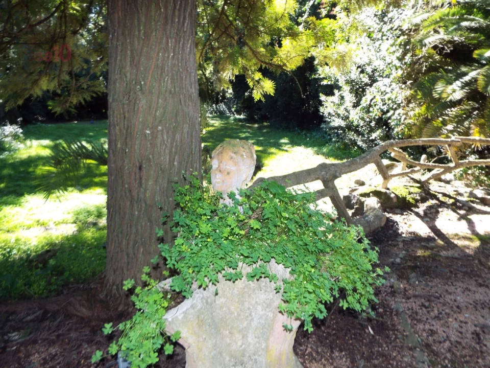 Moradia T8 para Venda em Assunção, Ajuda, Salvador e Santo Ildefonso Foto 77