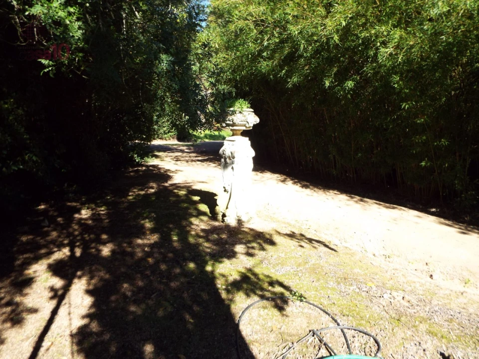 Moradia T8 para Venda em Assunção, Ajuda, Salvador e Santo Ildefonso Foto 80