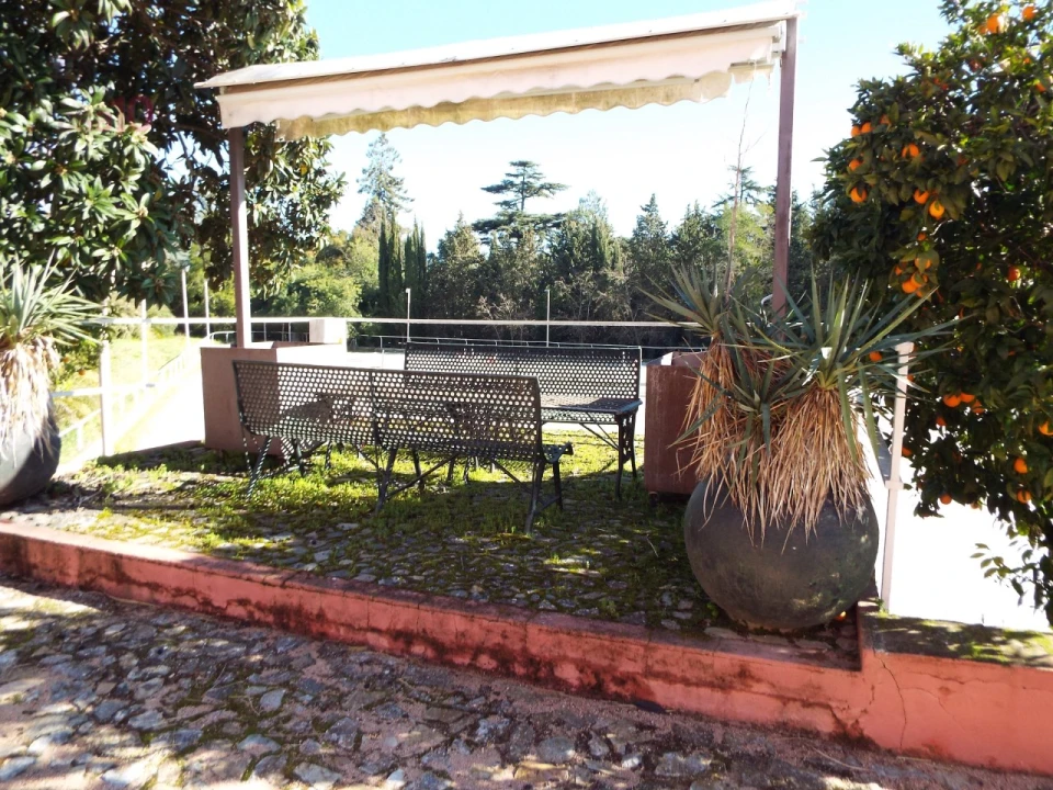 Moradia T8 para Venda em Assunção, Ajuda, Salvador e Santo Ildefonso Foto 97