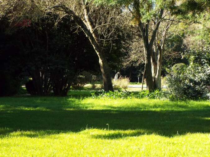 Moradia T8 para Venda em Assunção, Ajuda, Salvador e Santo Ildefonso Foto 53