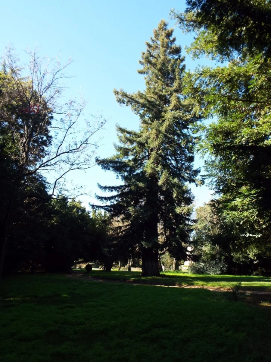 Moradia T8 para Venda em Assunção, Ajuda, Salvador e Santo Ildefonso Foto 55