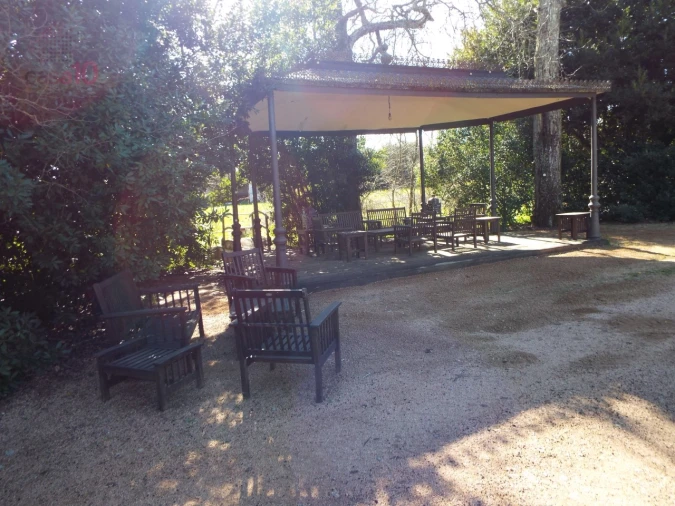 Moradia T8 para Venda em Assunção, Ajuda, Salvador e Santo Ildefonso Foto 22