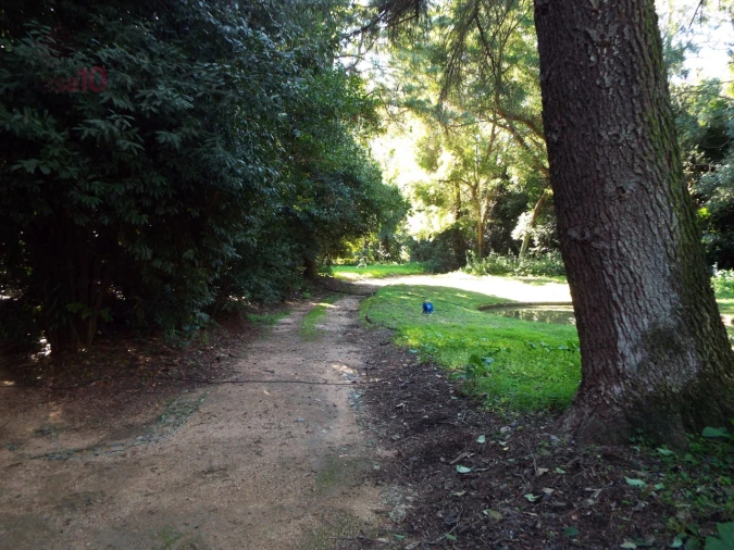 Moradia T8 para Venda em Assunção, Ajuda, Salvador e Santo Ildefonso Foto 73