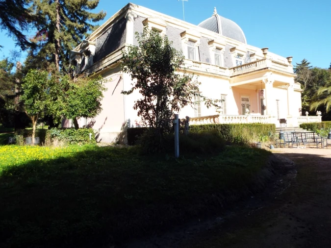 Moradia T8 para Venda em Assunção, Ajuda, Salvador e Santo Ildefonso Foto 3