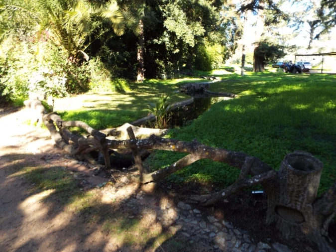 Moradia T8 para Venda em Assunção, Ajuda, Salvador e Santo Ildefonso Foto 76