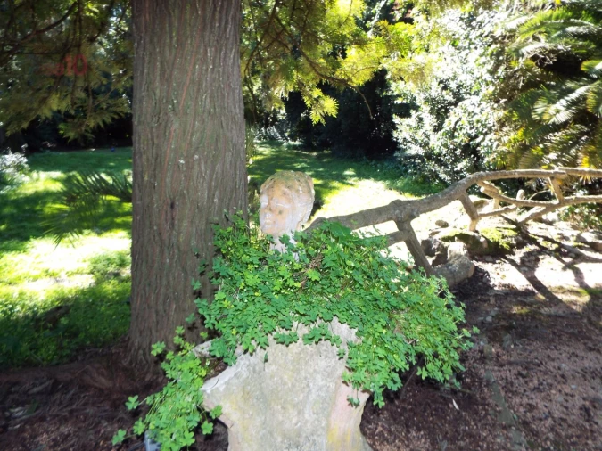 Moradia T8 para Venda em Assunção, Ajuda, Salvador e Santo Ildefonso Foto 77