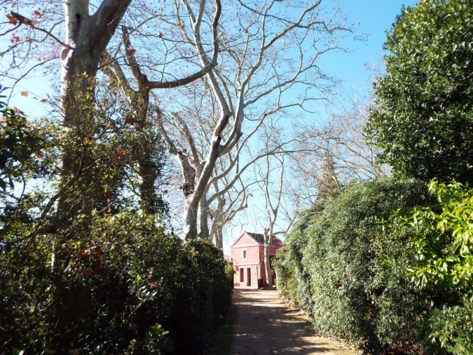 Moradia T8 para Venda em Assunção, Ajuda, Salvador e Santo Ildefonso Foto 87