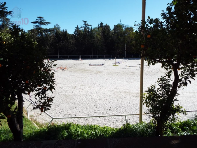 Moradia T8 para Venda em Assunção, Ajuda, Salvador e Santo Ildefonso Foto 99