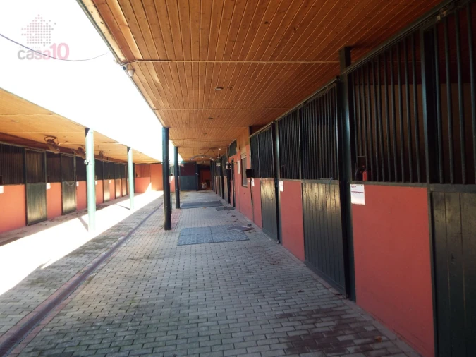 Moradia T8 para Venda em Assunção, Ajuda, Salvador e Santo Ildefonso Foto 94