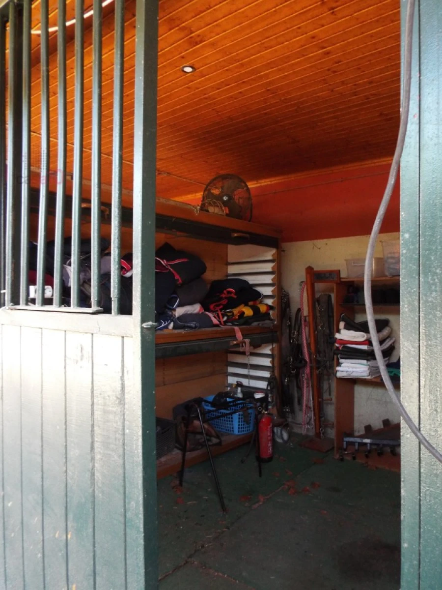 Moradia T8 para Venda em Assunção, Ajuda, Salvador e Santo Ildefonso Foto 95