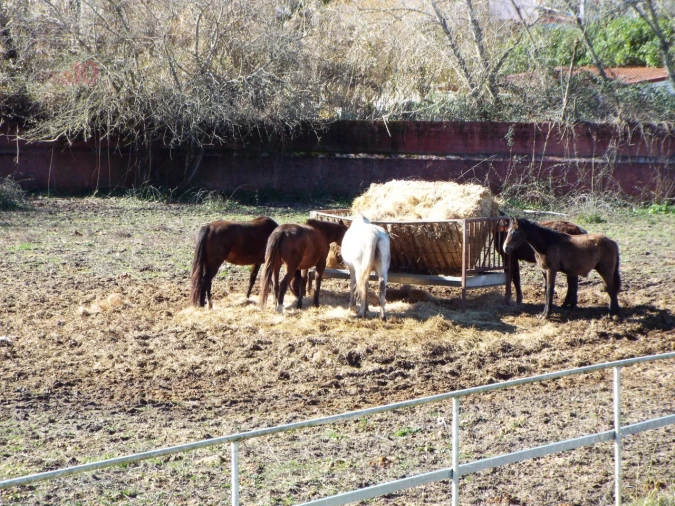 Moradia T8 para Venda em Assunção, Ajuda, Salvador e Santo Ildefonso Foto 100