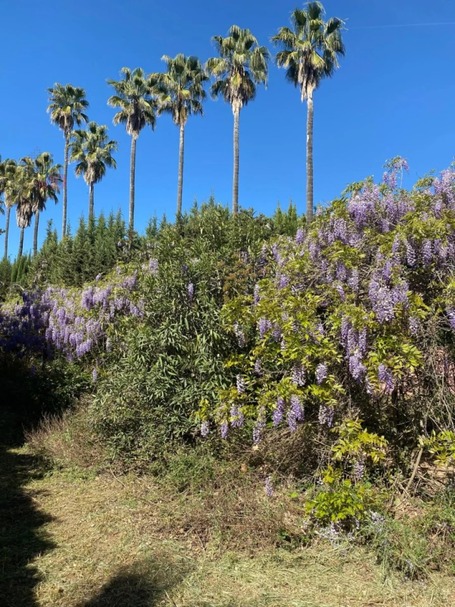 Moradia T8 para Venda em Assunção, Ajuda, Salvador e Santo Ildefonso Foto 85