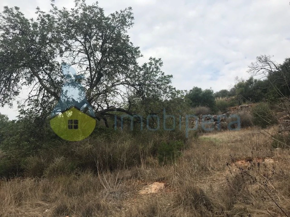 Moradia T4 para Venda em Paderne Foto 28