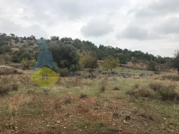 Moradia T4 para Venda em Paderne