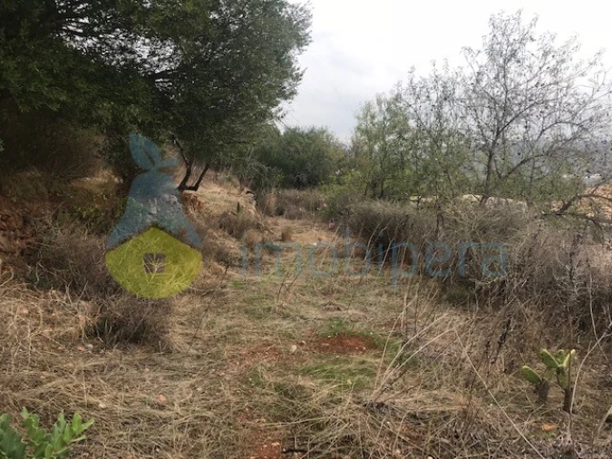 Moradia T4 para Venda em Paderne Foto 27