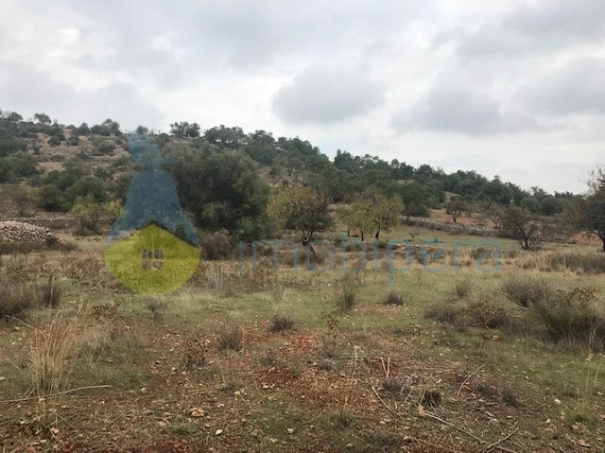 Moradia T4 para Venda em Paderne Foto 37