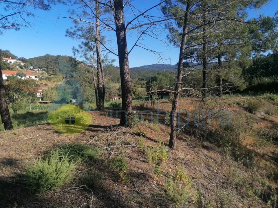 Terreno Agricola ou Rústico para Venda em Mexilhoeira Grande Foto 2