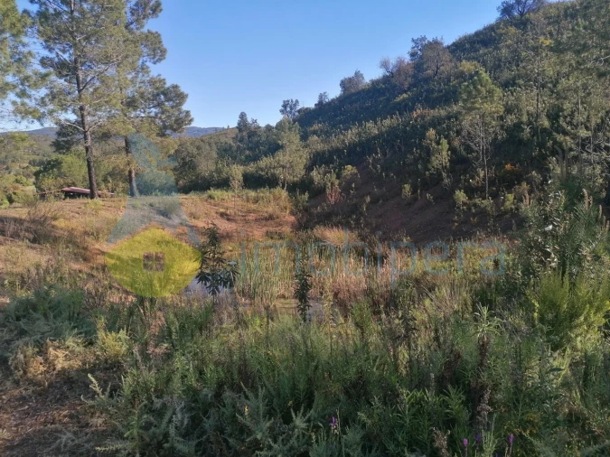 Terreno Agricola ou Rústico para Venda em Mexilhoeira Grande Foto 4