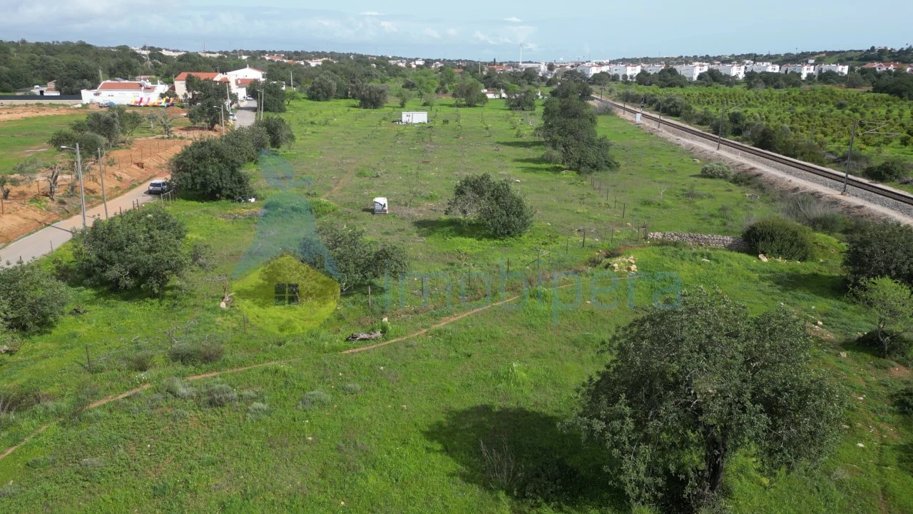 Terreno para Venda em Ferreiras Foto 13