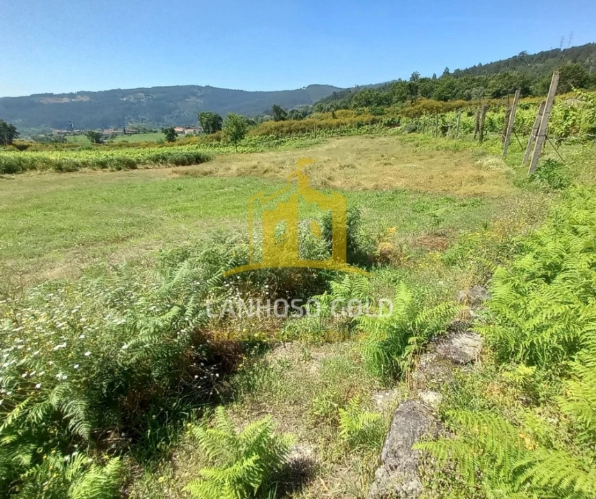 Terreno para Venda em Lanhoso Foto 6