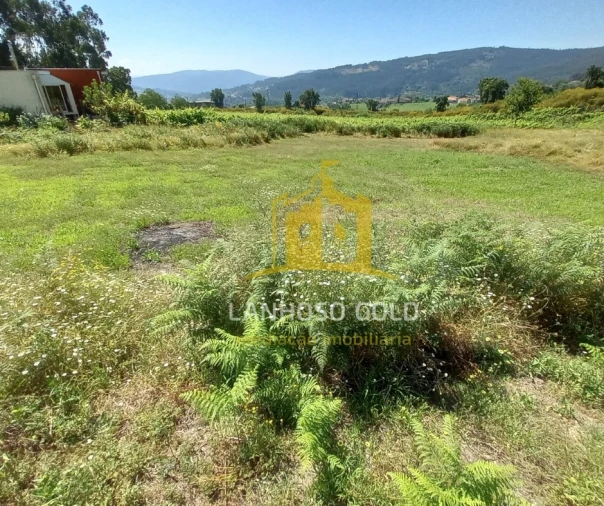 Terreno para Venda em Lanhoso Foto 5