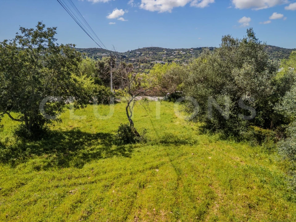 Terreno para Venda em São Brás de Alportel Foto 22