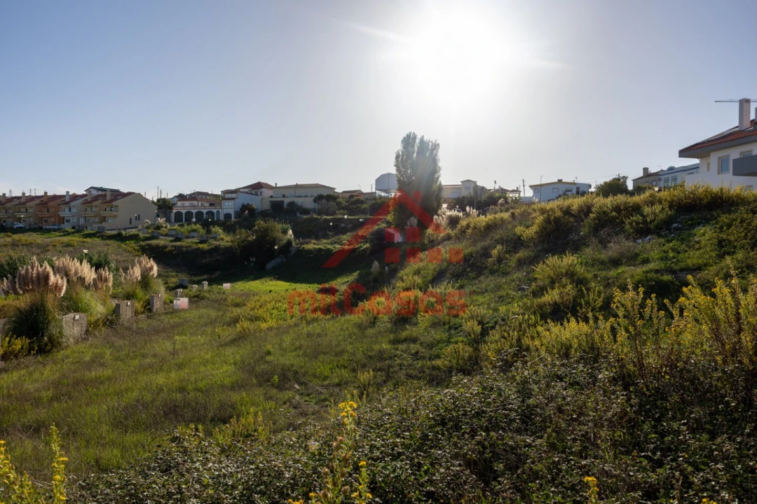 Terreno para Venda em Miragaia e Marteleira Foto 11