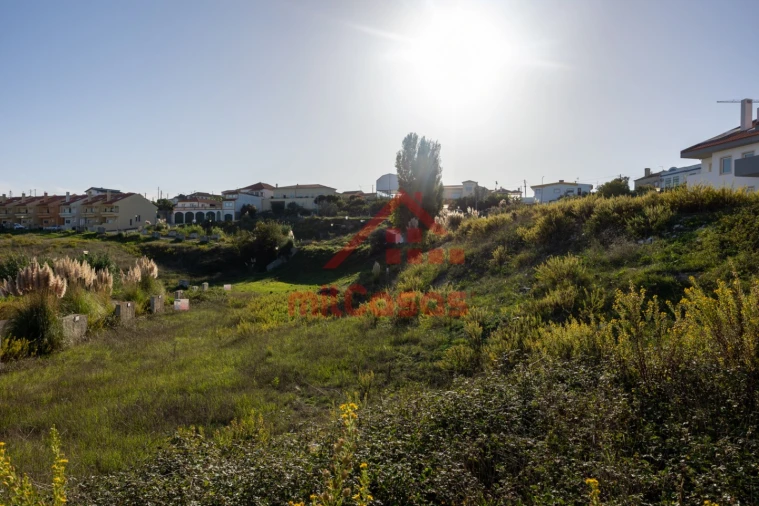 Terreno para Venda em Miragaia e Marteleira Foto 11