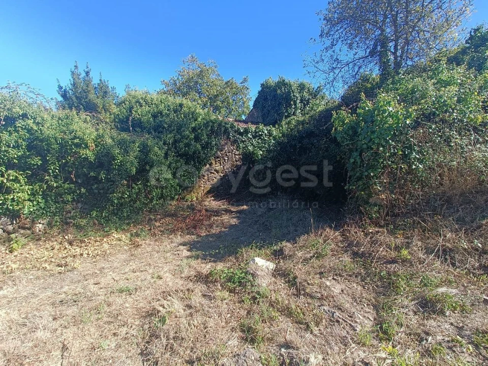 Moradia T1 para Venda em Canas de Santa Maria Foto 18