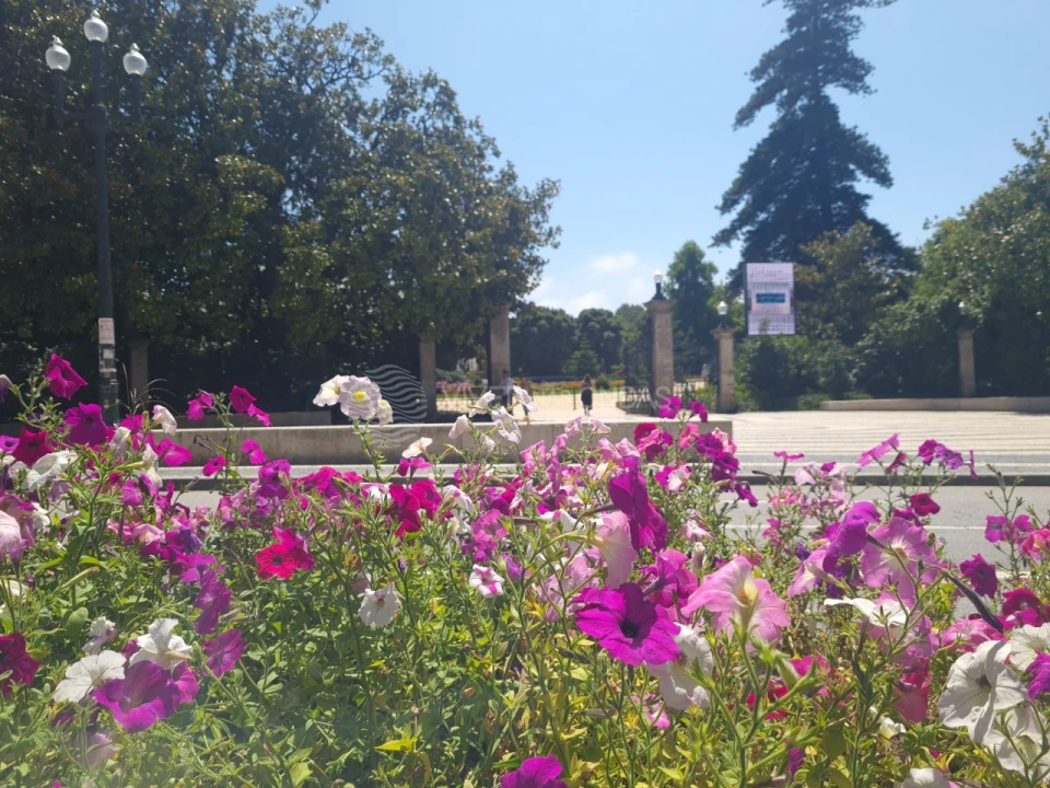 Prédio para Venda em Lordelo do Ouro e Massarelos Foto 24