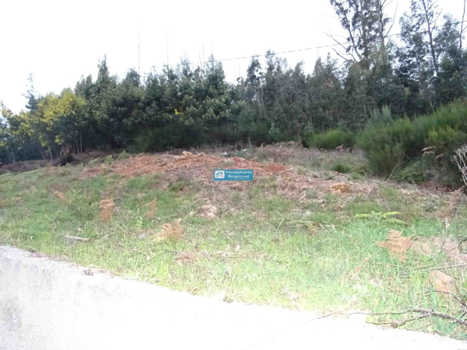 Terreno para Venda em Camacha Foto 10