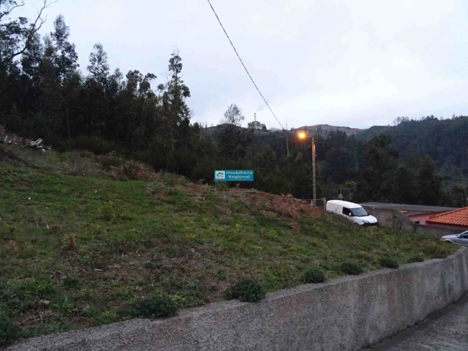 Terreno para Venda em Camacha Foto 11