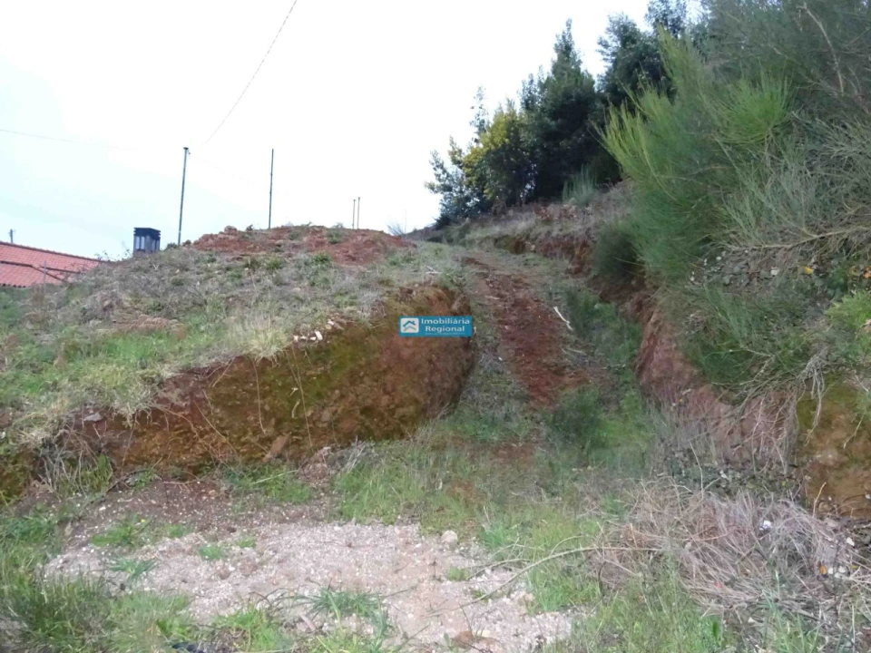 Terreno para Venda em Camacha Foto 13