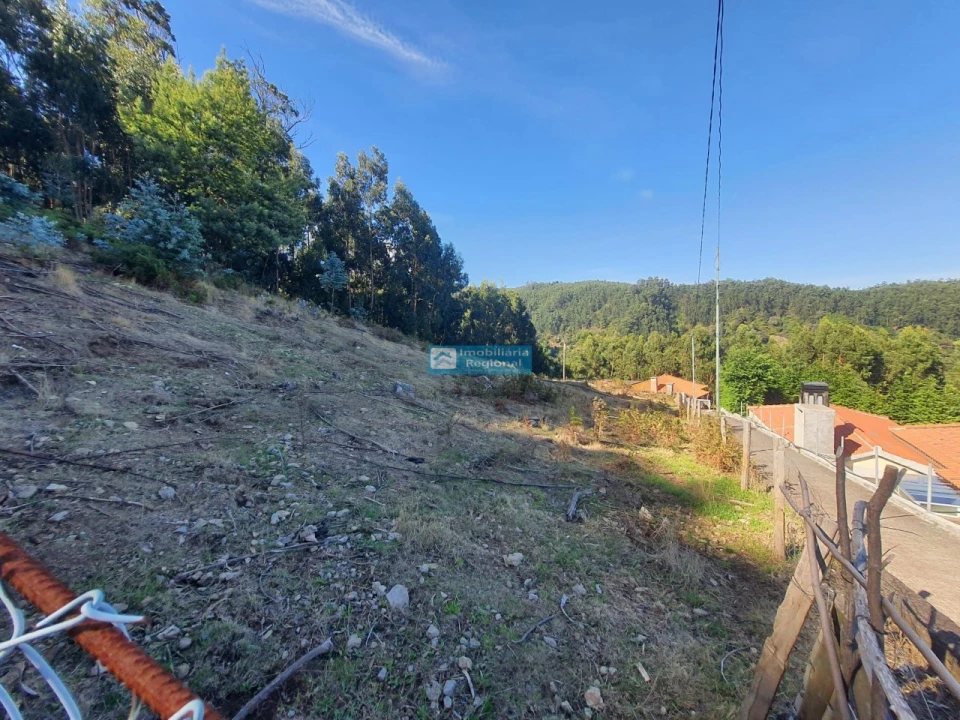 Terreno para Venda em Camacha Foto 3