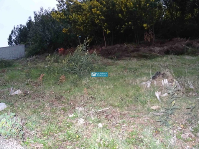 Terreno para Venda em Camacha Foto 12