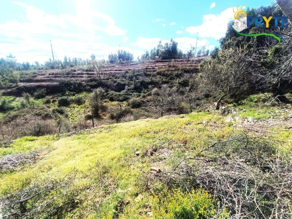 Moradia T3 para Venda em Ermida e Figueiredo Foto 62