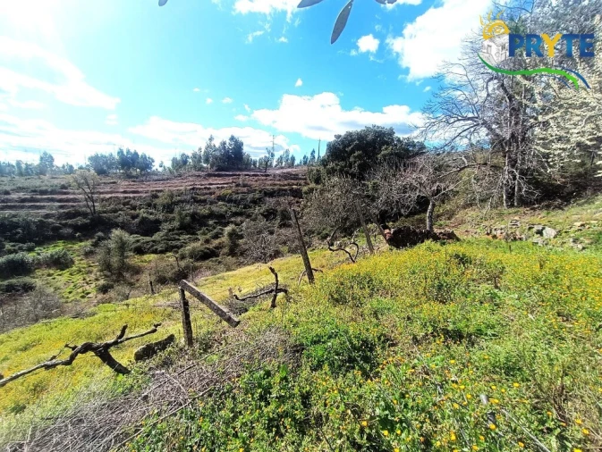 Moradia T3 para Venda em Ermida e Figueiredo Foto 57