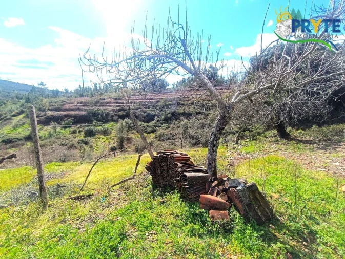 Moradia T3 para Venda em Ermida e Figueiredo Foto 58