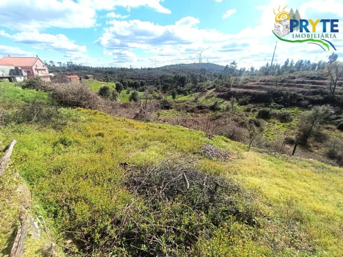 Moradia T3 para Venda em Ermida e Figueiredo Foto 59