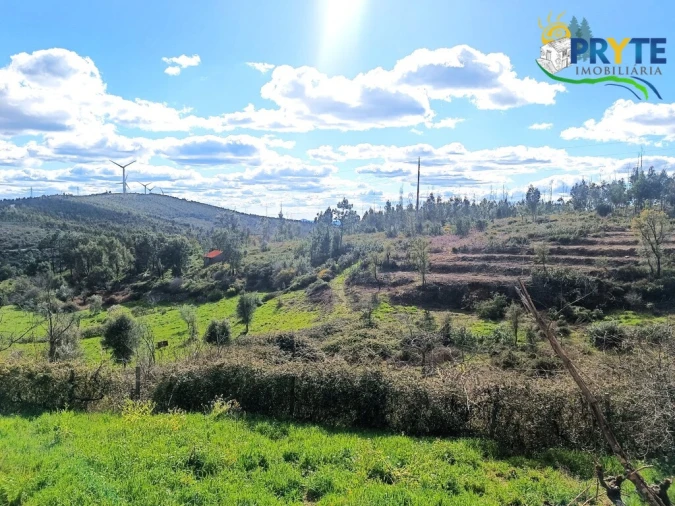 Moradia T3 para Venda em Ermida e Figueiredo Foto 61